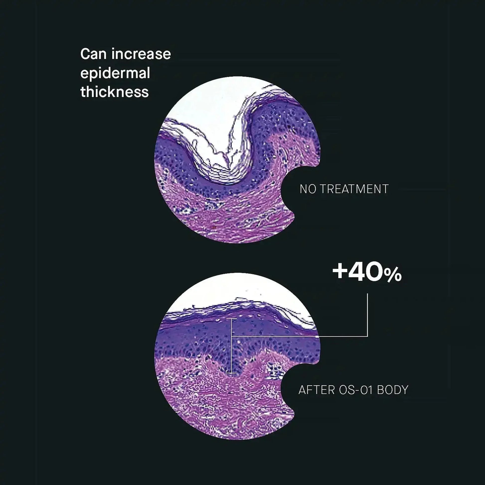 One Skin OS-01 Body Topical Supplement Essential Moisturizer