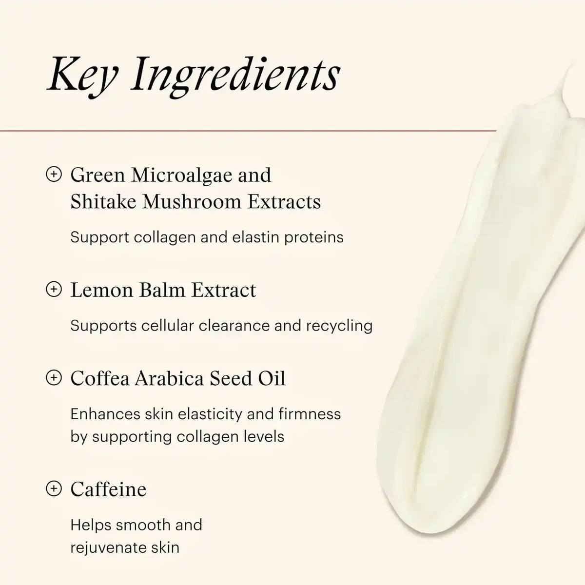 Key ingredients list with white cream swatch: microalgae, shiitake, lemon balm, and caffeine.
