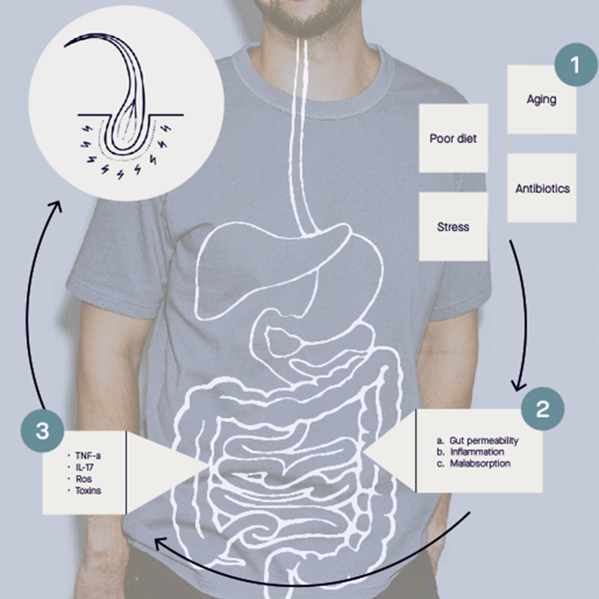 Hairbiotic MD, Probiotic Hair Growth Supplement - MariposaSkincare.com