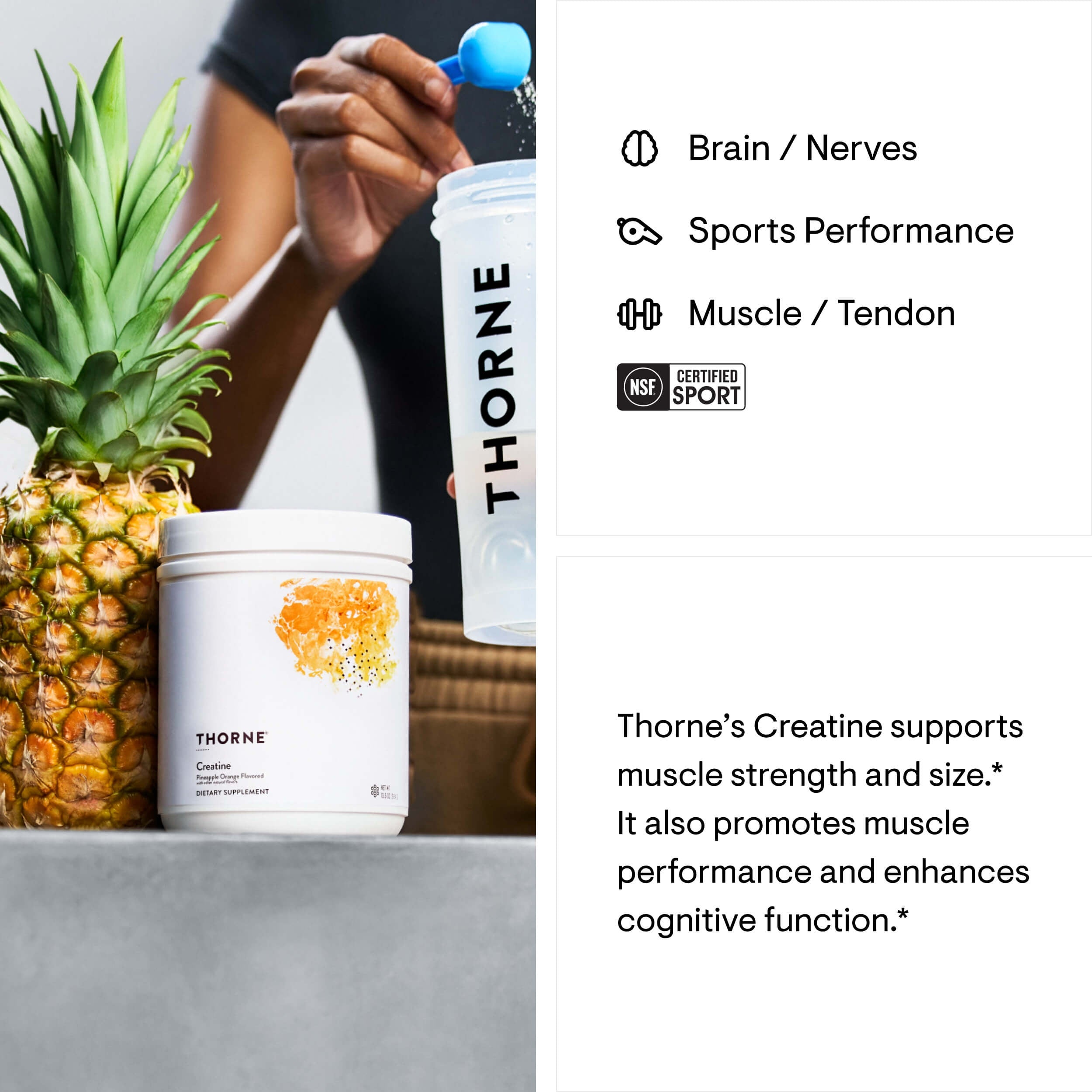 Thorne Creatine - Pineapple Orange Flavored