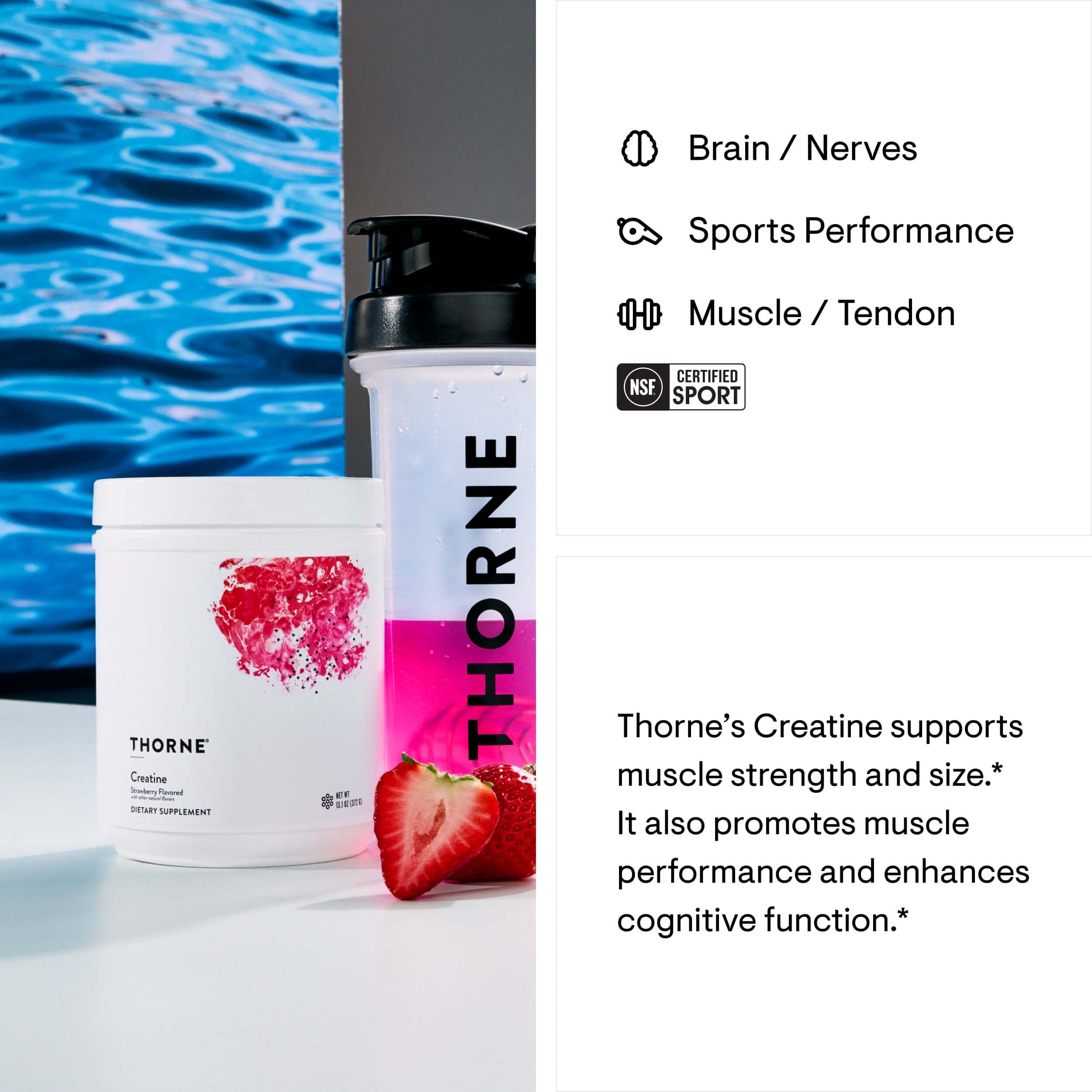 Thorne Creatine - Strawberry Flavored